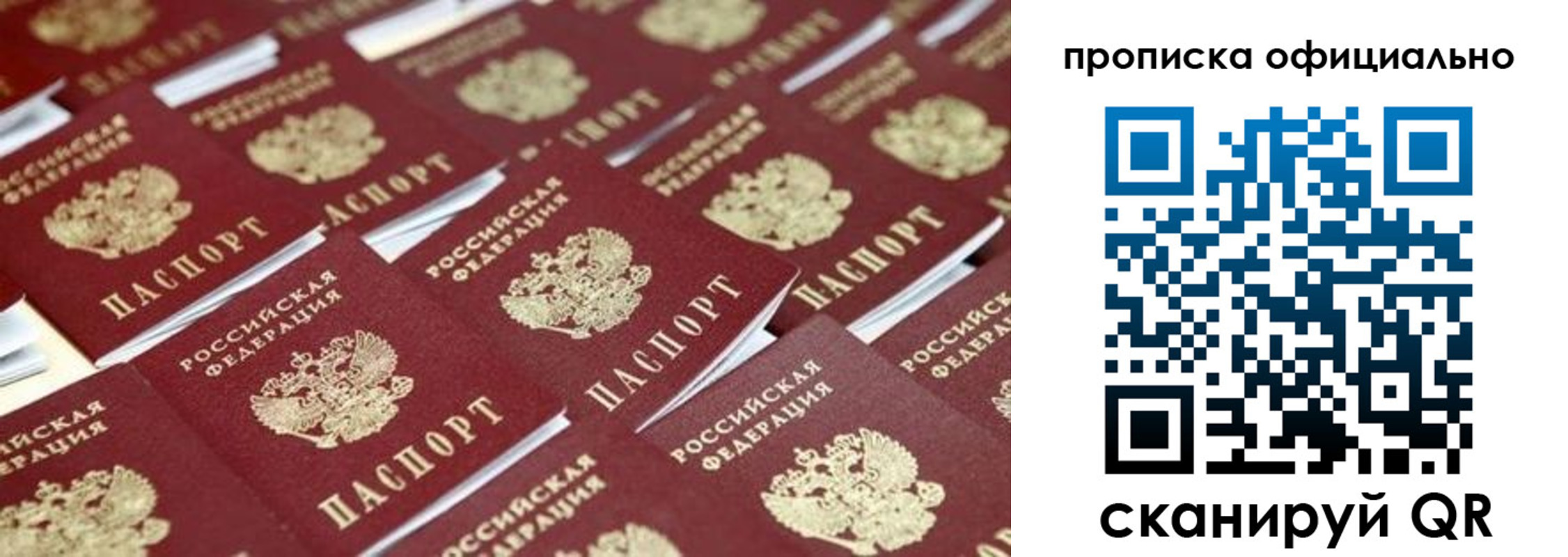 прописка гарантия в Ельце